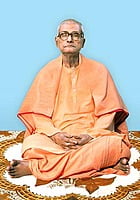 Swami Gitananda - Vice-President (2003 – 14)