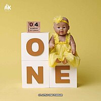 Studio Package (50 Themes)