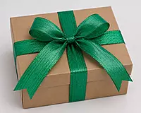 Mallard Wired Foil Ribbon-10 yards-4 cms