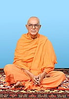 Swami Prameyananda - Vice-President (2009 – 11)
