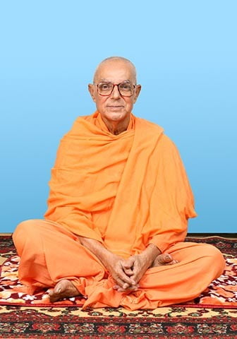 Swami Prameyananda - Vice-President (2009 – 11)