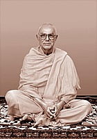 Swami Prameyananda - Vice-President (2009 – 11)