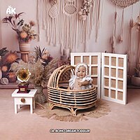 Studio Package (50 Themes)