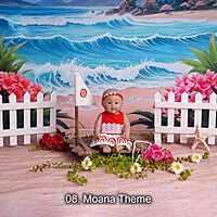 Studio Package (33 Themes)