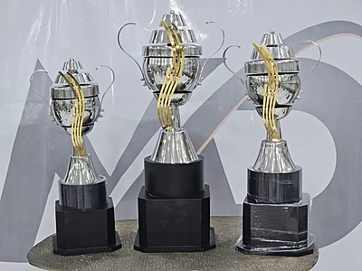 MT-3D MINI TROPHY NO:1