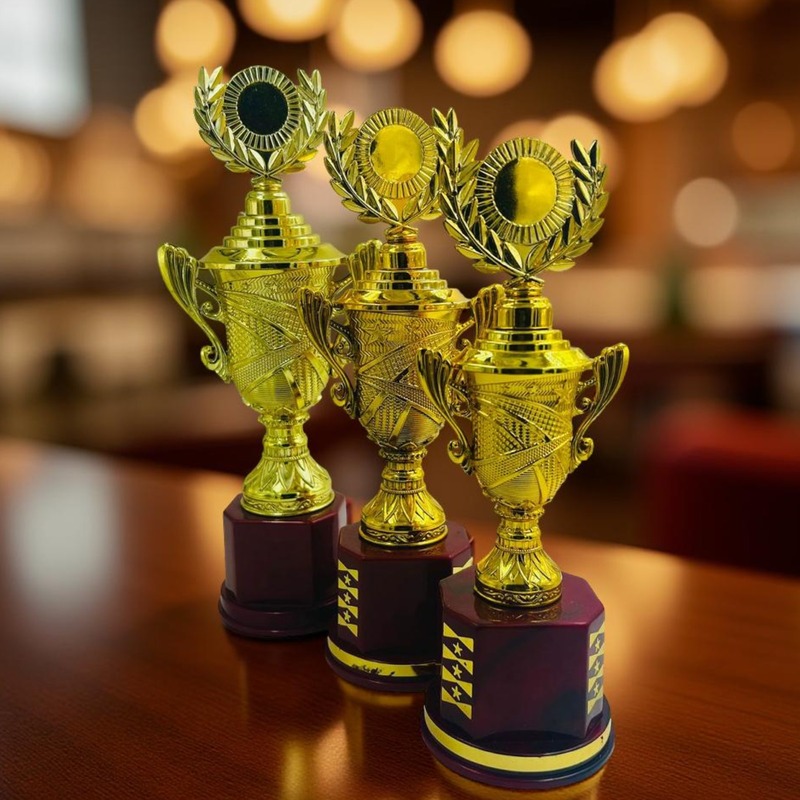 RC-CP1595K F (M) W/LID 24.50CM 18%