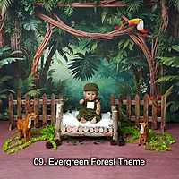 Studio Package (33 Themes)