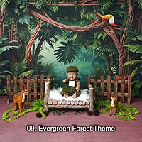 Studio Package (33 Themes)