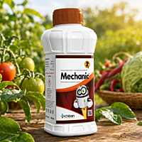 Ichiban MECHANIC® Fungicide (Azoxystrobin + Chlorothalonil) | Vetrivel Agro Services