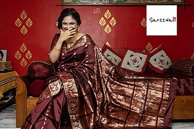 Chand buta  dark brown color pure katan silk Swarnachari saree