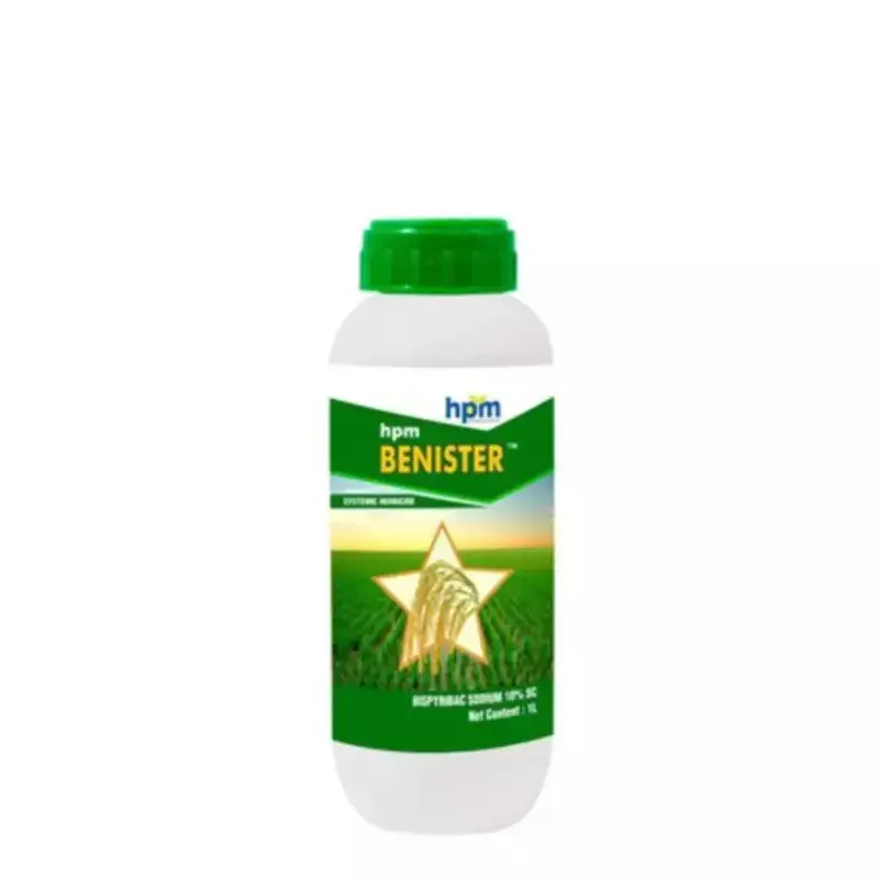 Hpm Benister -(HPM)