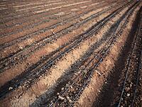 Irrigation Equipment Leasing