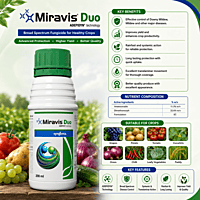 Syngenta MIRAVIS® DUO Fungicide | Vetrivel Agro Services