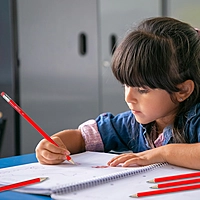 Pack of 12 Janrax HB Pencils with Erasers