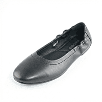 La Maidens Ballet Flats