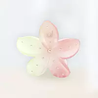 Gradient Flower Hair Claw Clip | Pink & Yellow Floral Hair Accessory