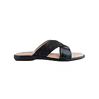 Aristo Slides