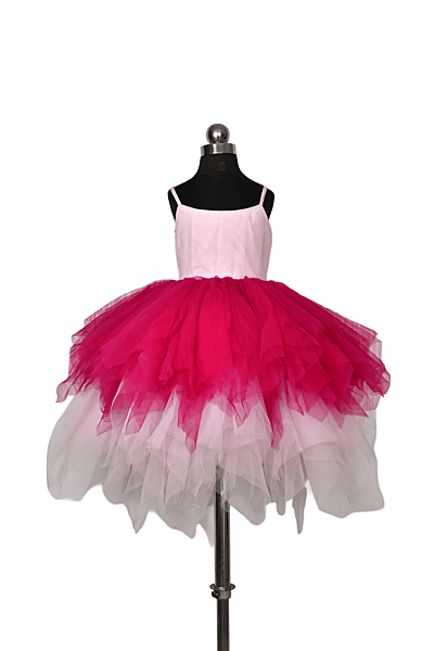Pink Ombre Tulle Dress