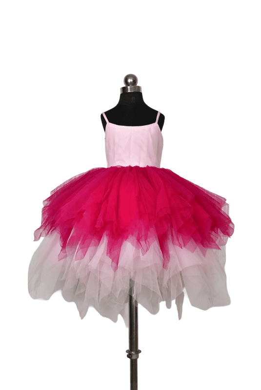 Pink Ombre Tulle Dress