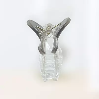 Chic Starfish Clear & Smoke Grey Hair Claw Clip - Medium Size