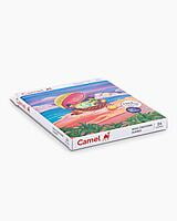 Camlin Wax Crayons