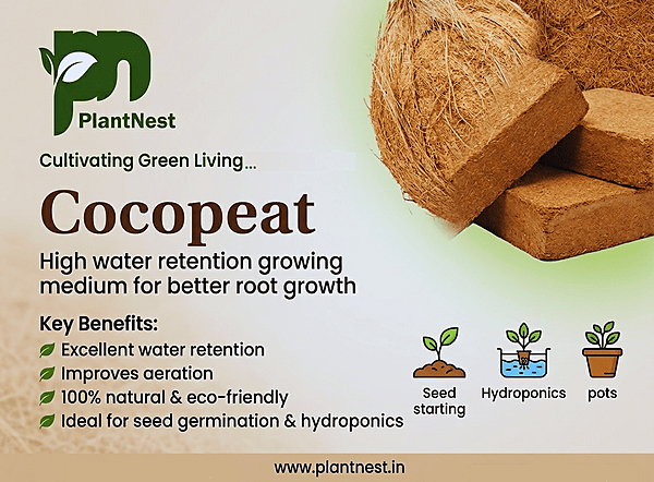 Cocopeat brick 1 Kg I Expand upto 5Kg