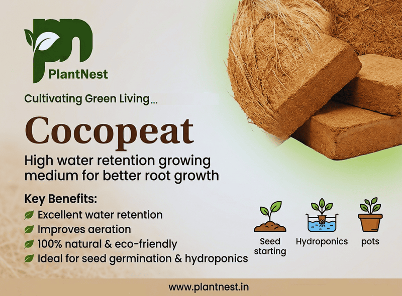 Cocopeat brick 1 Kg I Expand upto 5Kg