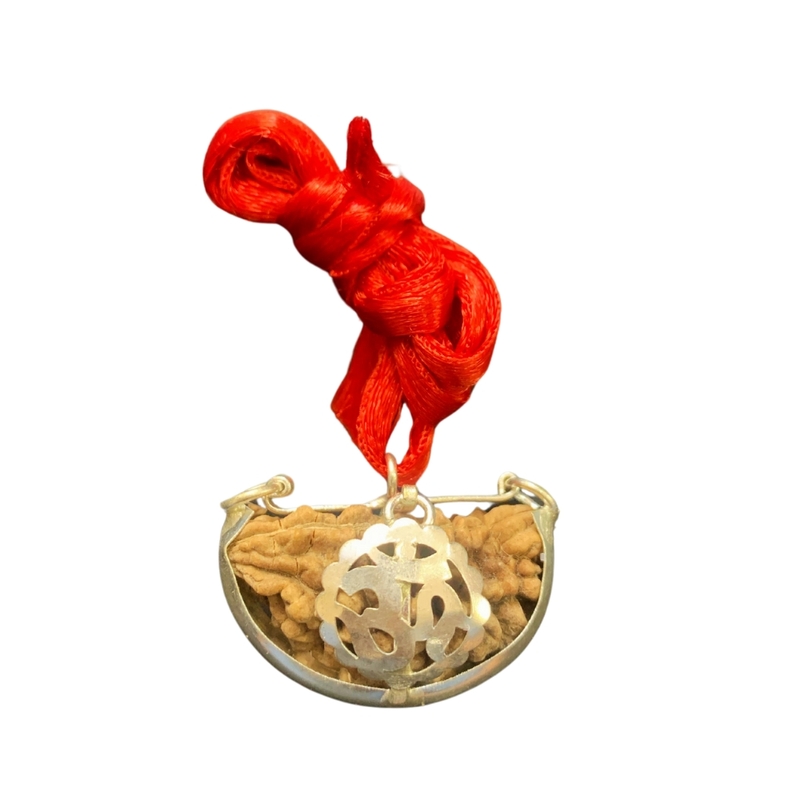 1 Mukhi Kaju Dana Rudraksha