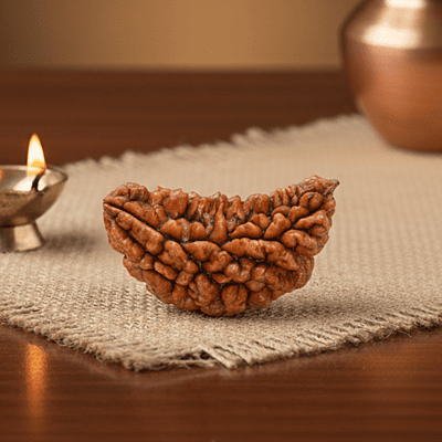 1 Mukhi Kaju Rudraksha – Natural & Certified