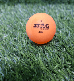 STAG TABLE TENNIS 1STAR BALLS