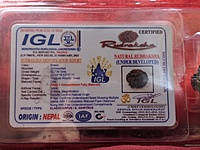 1 Mukhi Rudraksha ( Nepali)