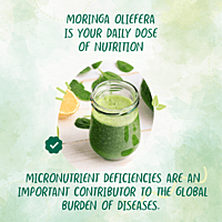 MORINGA LEAVES POWDER | SUPERFOOD FOR ALL MORINGA LEAVES POWDER | SUPERFOOD FOR ALL