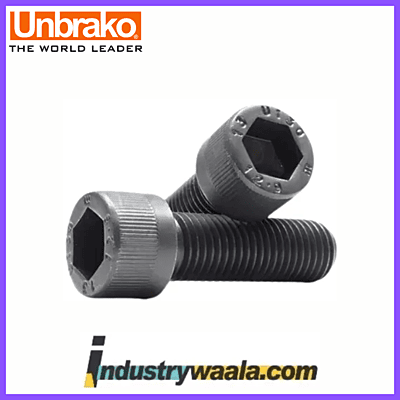 Unbrako 24 X 60 MM Socket Head Cap Screw (Allen Bolt) - Metric, Quantity 10 Pcs