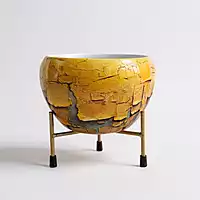 Rustic Yellow