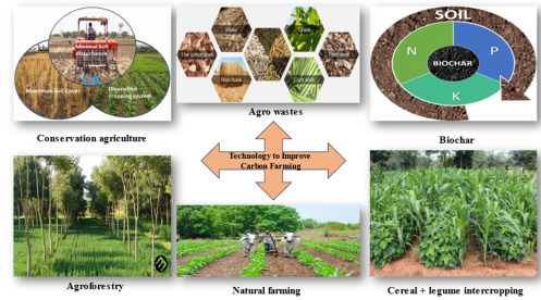 Carbon Credit Aggregation for FPOs & Cooperatives