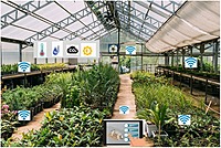 Digital Farm Monitoring & Data Management Training for Polyhouse & Nursery