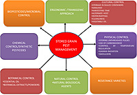 Stored Grain Pest Control Service