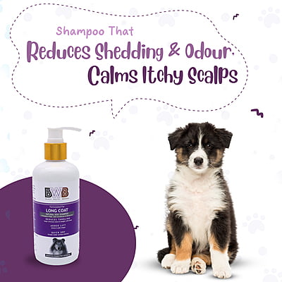 BWB LONG COAT SHAMPOO