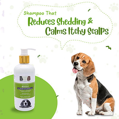 BWB BEAGLE SHAMPOO