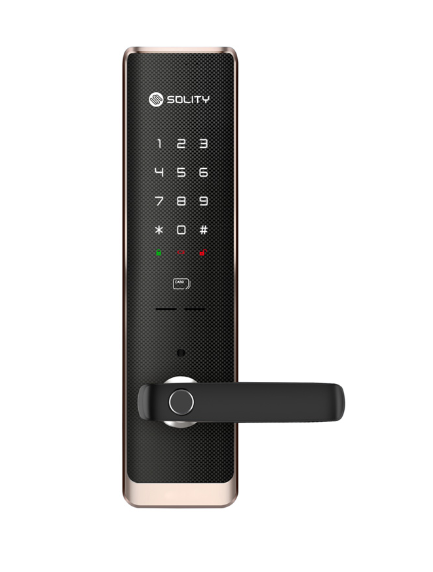 Solity Push & Pull Digital Mortise Lock With Fingerprint Password RFID Card Emergency Key