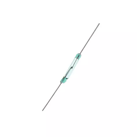Reed Switch