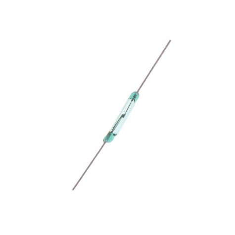 Reed Switch