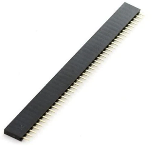 Female Berg strip -40X1