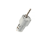 Johnson motor -10 rpm