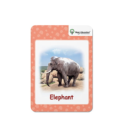 Next AR leaflet - Primer B (Set of 20) Next AR leaflet - Primer B (Set of 20)