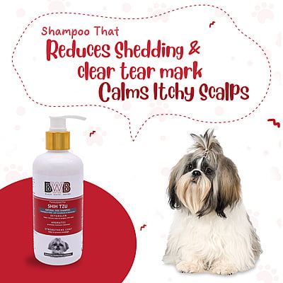 BWB SHIHTZU SHAMPOO