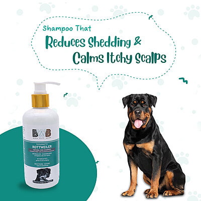 BWB ROTTWEILER SHAMPOO