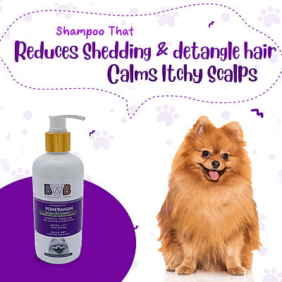 BWB POMERANIAN SHAMPOO BWB POMERANIAN SHAMPOO
