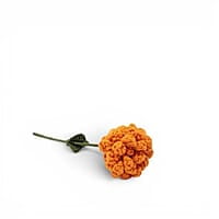 Marigold Small Flower Yellow