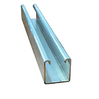 Mini Rail 100mm